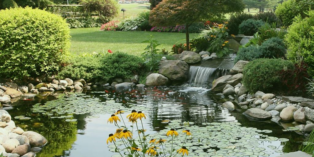 طراحی و اجرای برکه