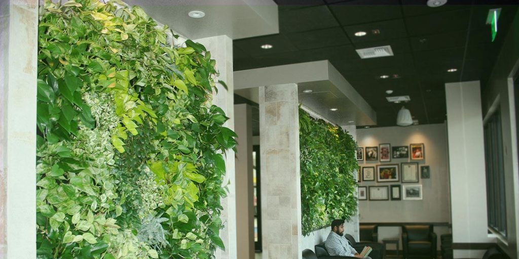 طراحی و ساخت گرین وال