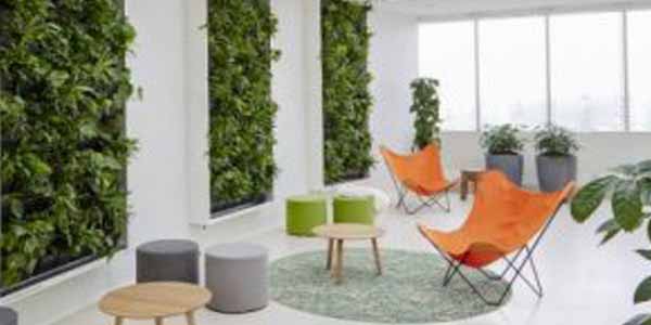 روش اجرای دیوار سبز