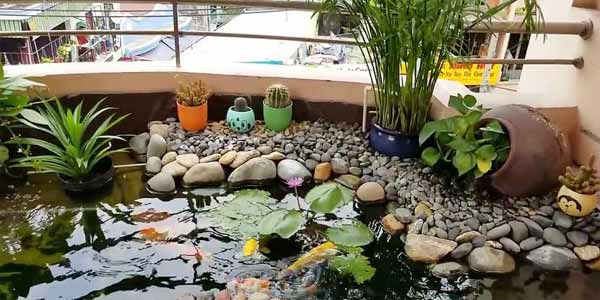اجرای برکه