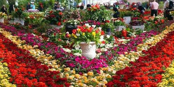 شرکت فضای سبز