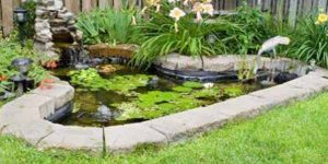 شیوه طراحی و اجرای برکه