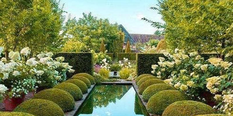 محوطه سازی باغ میوه