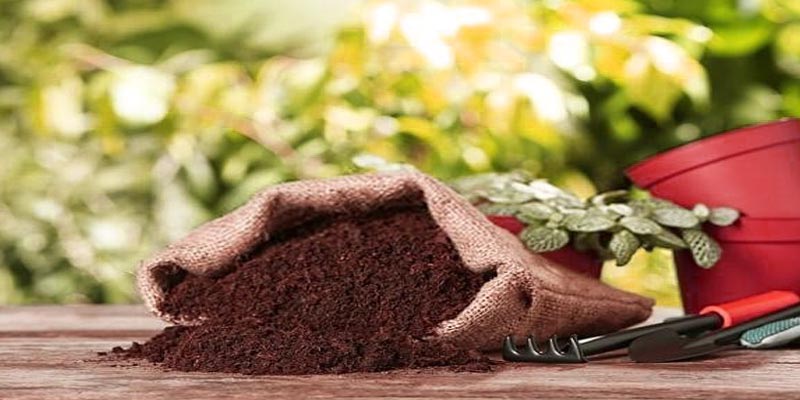 کود آلی چیست؟ کود آلی چیست؟