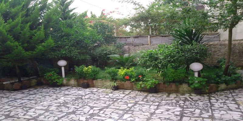 محوطه سازی حیاط بزرگ محوطه سازی حیاط بزرگ